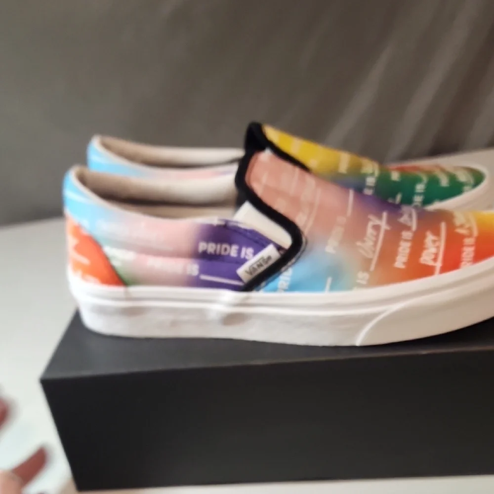 Vans Multicolor Pride Journey Slip-On Shoes